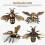 Handmade Bee Tabletop Figures Golden 2 pcs 3
