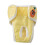 Pantalon réutilisable pour chien S motif ananas polyester 2