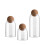 Clear Borosilicate Glass Storage Jars with Natural Cork 1