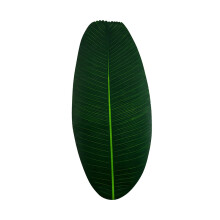Bloco de esponja hidropônica para cultivo, meio de cultivo sem solo para sistemas de plantio em ambientes internos, tapete de suporte para mudas em