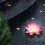 Πλωτά φώτα πισίνας Lotus Design με μπαταρία 4 τεμάχια 3