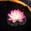 Πλωτά φώτα πισίνας Lotus Design με μπαταρία 4 τεμάχια 5