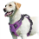 (PURPLE, L) No Pull Dog Harness, Adjustable Soft Padded Pet Vest with Easy Control Handle 1
