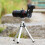 Conjunto de Lentes Macro e Olho de Peixe com Zoom Telescópico de 18x, Tripé Flexível Super Grande Angular 4K HD Compatível com iPhone, Samsung e 8
