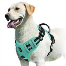 (green, XL) No Pull Dog Harness, Adjustable Soft Padded Pet Vest with Easy Control Handle