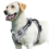 (GRAY, S) No Pull Dog Harness, Adjustable Soft Padded Pet Vest with Easy Control Handle 1