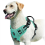 (green, M) No Pull Dog Harness, Adjustable Soft Padded Pet Vest with Easy Control Handle 1