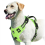 (light green, M) No Pull Dog Harness, Adjustable Soft Padded Pet Vest with Easy Control Handle 1