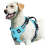 (SKY BLUE, XL) No Pull Dog Harness, Adjustable Soft Padded Pet Vest with Easy Control Handle 1