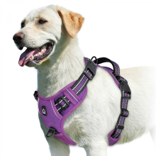 (PURPLE, S) No Pull Dog Harness, Adjustable Soft Padded Pet Vest with Easy Control Handle