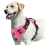 (Pink, S) No Pull Dog Harness, Adjustable Soft Padded Pet Vest with Easy Control Handle 1