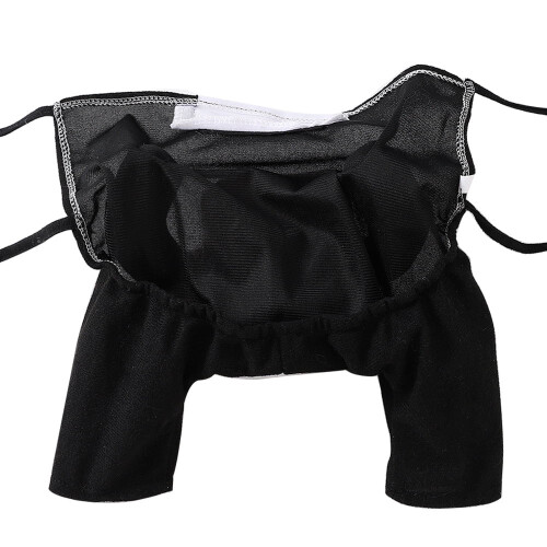 Déguisement de pasteur pour petits chiens avec Bible (taille XS)