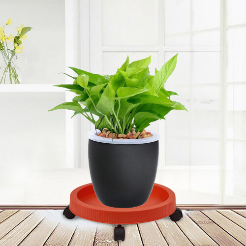 Universal Caster Plant Dolly, Ανθεκτικό στις καιρικές συνθήκες Rolling Plant Caddy, Βαρέως τύπου κινητό 1