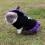 Μαγικό καπέλο για κατοικίδια Halloween Cosplay Hoodie Αστεία ρούχα Ρούχα Φεστιβάλ Κοστούμι 3