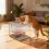 Mini acvariu din plastic transparent cu capac, cub de 15 cm 4