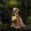Hundstaty utomhus solcellsdriven LED-harts gräsmatta ornament 5
