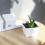 Functional Food-Grade Material, Creative Tableware Design, White Innovative Set For Home And Office Use 6