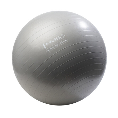 55cm Graphite Gym Ball - Anti-Burst Stability Ball 2