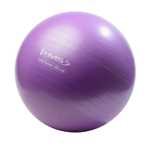 65 cm paarse gymbal - anti-barst, antislip 2