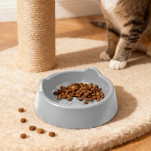 Comedero para gatos de gran capacidad, comedero para mascotas, bonito bebedero para gatos que protege el cuello.
