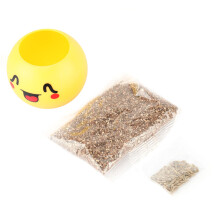 Natural Colored Pebbles, Multi-Use Decorative Sand For Succulent Paving Gravel And Garden Landscaping Stones, Aquarium Decorative Gravel Ideal For