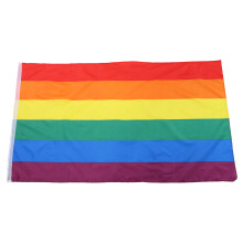 Bannière arc-en-ciel aux couleurs éclatantes (90 x 150 cm), en polyester résistant aux UV, avec œillets en laiton et ourlet en toile pour une