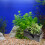 5pcs Coral Propagation Support Acrylic Equipment Replaceable 3