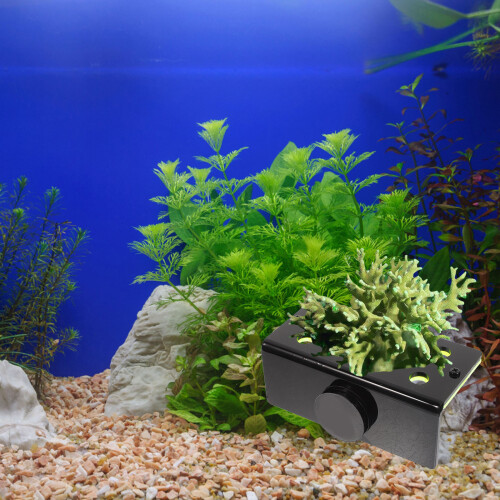 5pcs Coral Propagation Support Acrylic Equipment Replaceable 2