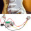 Pre Wired Guitar Harness5Way Switch Volume Tone Control Ultimate Guitar Accessory Kit Superior Quality Long Lasting Durability Versatile 3