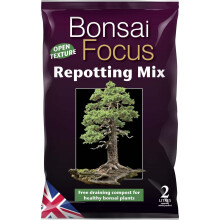 Growth Technology Focus Repotting Range Cactus, Citrus, Bonsai & Carnivorous (2L - Bonsai Focus Repotting Mix)