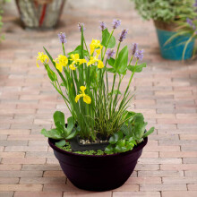 You Garden - Complete Patio Pond Kit Create Your Own Miniature Patio Pond