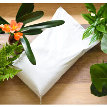 Incredicompost Houseplant Peat Free Compost 25 Litre Bag 1x by Thompson and Morgan