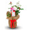 Ruby Wedding Gift Rose - 40th Wedding Anniversary Plant - Gift Wrapped with Our Huge Gift Bow 1