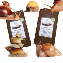 bugznbits Coco Substrate, Coco fiber Substrate, coir block (2 x 8-9L blocks)