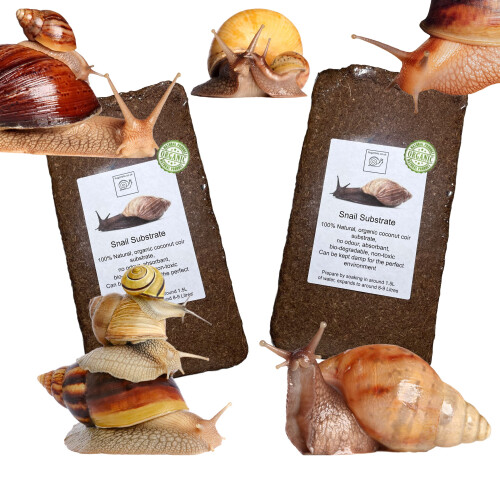 bugznbits Coco Substrate, Coco fiber Substrate, coir block (2 x 8-9L blocks)