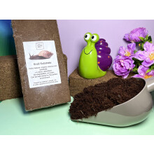bugznbits Land Snail Soil, Snail Substrate, 8-9 litre Coir Block (Twin Pack)