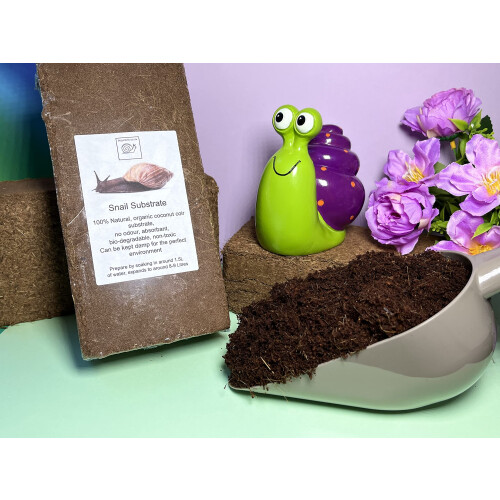 bugznbits Land Snail Soil, Snail Substrate, 8-9 litre Coir Block (Twin Pack)