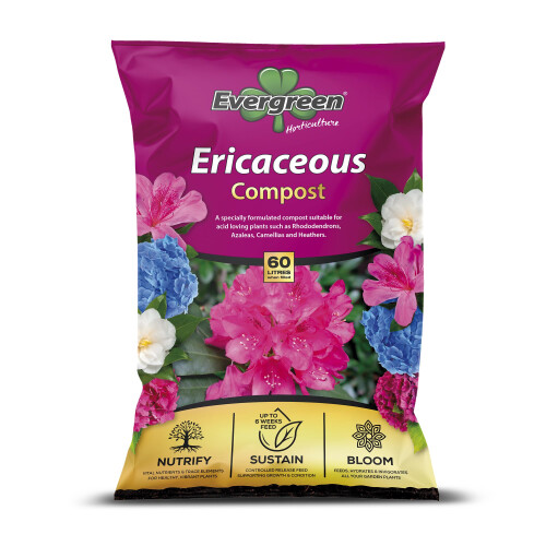 Evergreen Ericaceous Compost 60 Litre Size