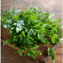 Carbeth Plants - Parsley Herb Plant - French Flat Leaf in 9cm Pot - Ideal for Cooking and Salads