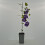 Clematis  Stefan Franczak 1L 2
