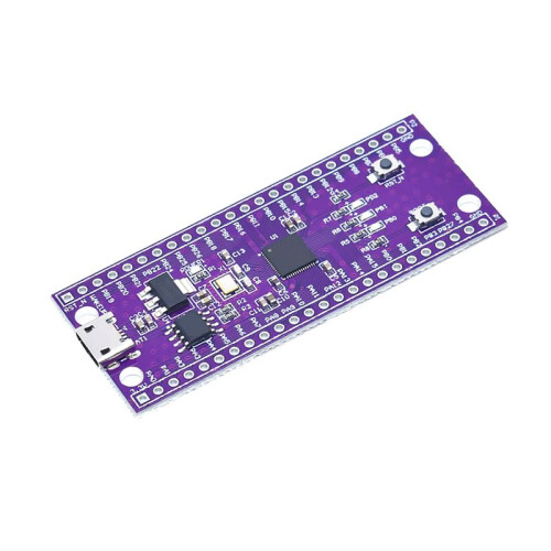 W806 MCU Development Board IoT Flat Low-Power MCU Chip Core Board with Enhanced Touch and Peripheral System Integration 1