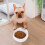 Πλαστικό σιντριβάνι νερού χωρίς BPA για κατοικίδια, ήσυχο σιντριβάνι νερού με 6