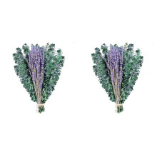 30 Unidades de Caules de Eucalipto Preservados Secos e Pacotes de Flores de Lavanda para Chuveiro, 17 em Folhas de Eucalipto Caules de Plantas de