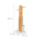 Toilet Roll Holder and Brush Set with Shelf 3