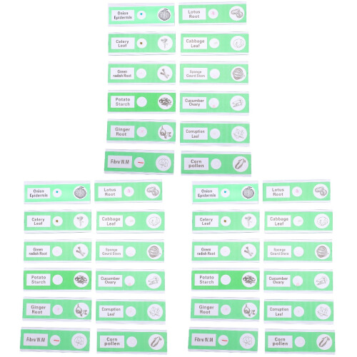 36Pcs Prepared Microscope Slides Collection Light Green for Home Use 1