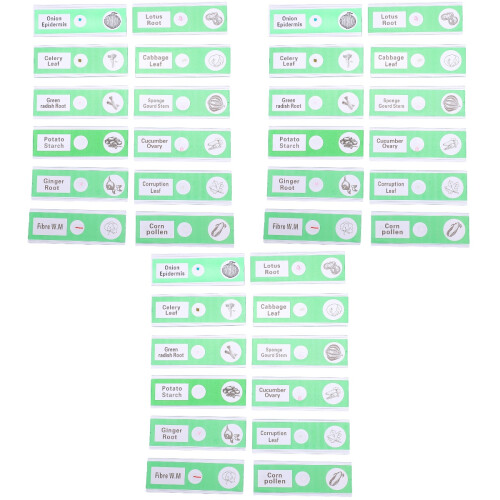 36Pcs Prepared Microscope Slides Collection Light Green for Home Use 2