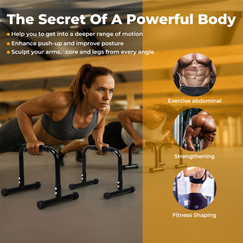 Centra Parallel Dip Bar Station Gym Parallettes 2