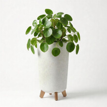 GEEZY Tall Plant Pot with Legs 23.9cm Indoor Outdoor Weather Resistant Garden Planter