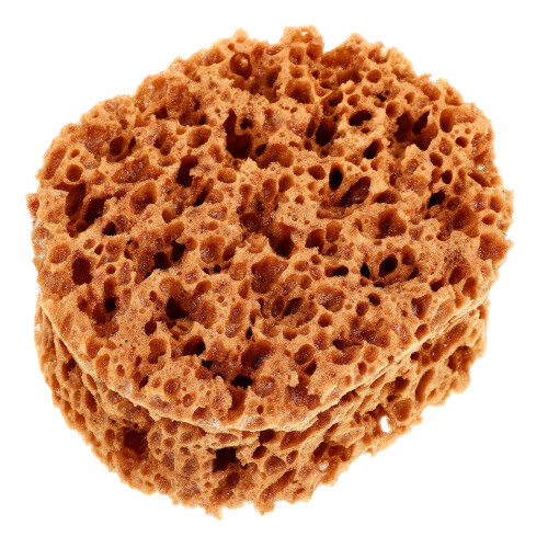 Drywall Texture Sea Sponge Paint Tool Light Brown 1pack