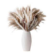 Boho Home Decor, Natural Dried Reed Grass Bouquet, Wedding Floral Enhancements, Low-Maintenance45Cm Sustainable Pampas Grass (Multicolor)